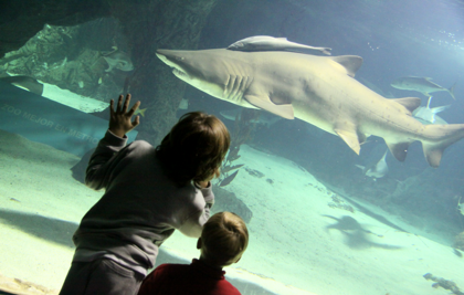 Grupos Zoo Aquarium de Madrid