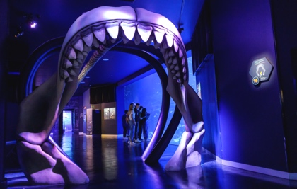 Atlantis Aquarium Madrid