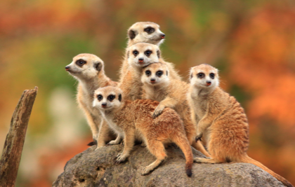 Terra Natura Murcia