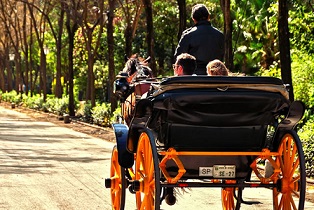Paseo en coche de caballos por Sevilla