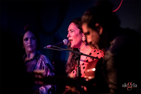 Alegría Flamenco y Gastronomía - Málaga