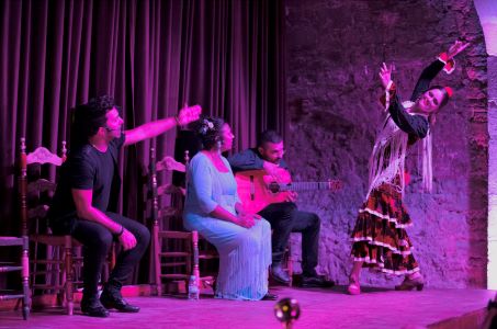Flamenco Palau Dalmases