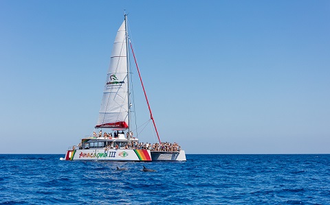 Paseo en Catamarán en Alcudia (Mallorca)