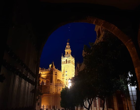 Visitas Guiadas Sevilla: Barrio y Museo de la Macarena