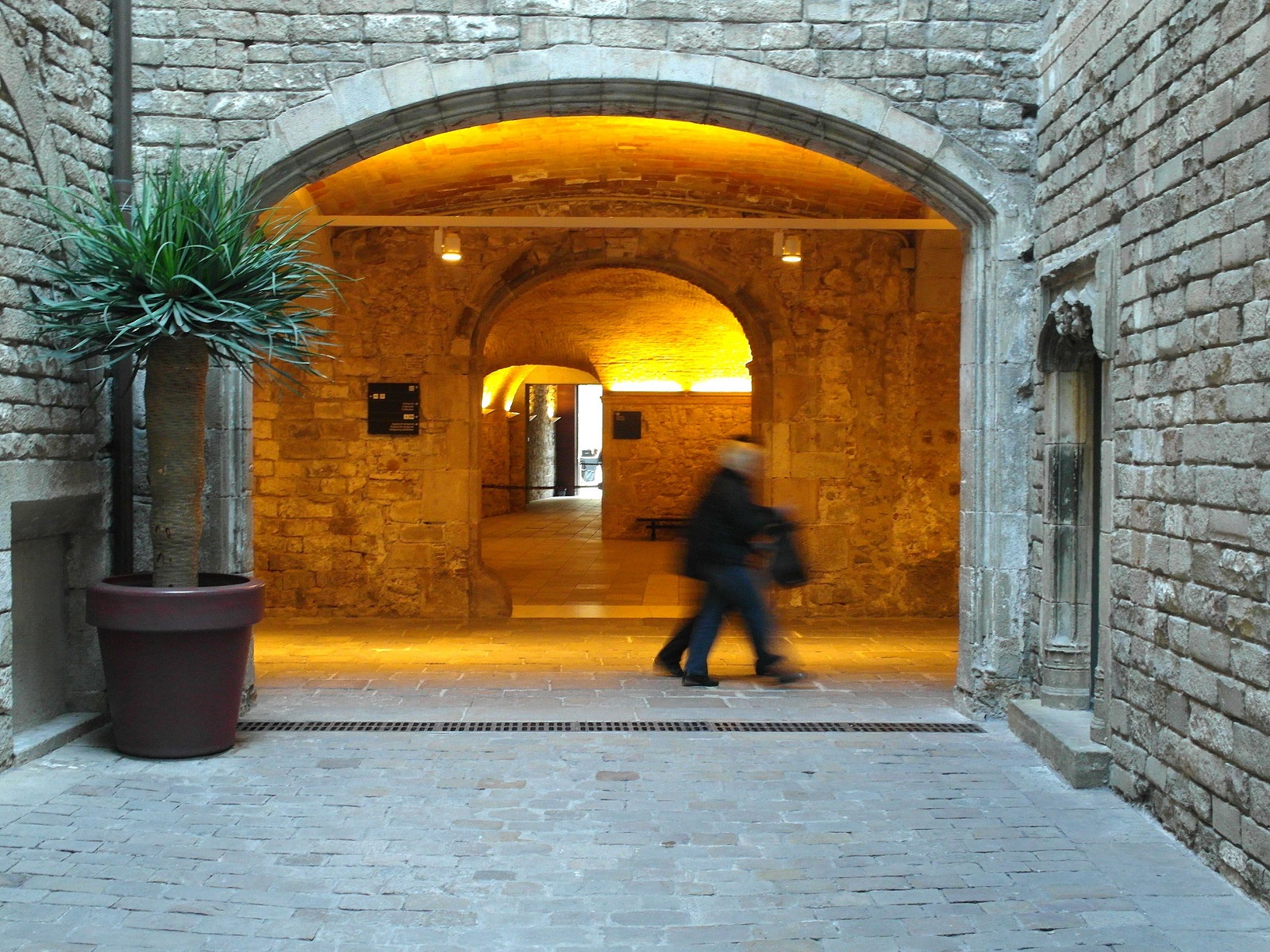 Visita Guiada Por el Museo Picasso en Inglés