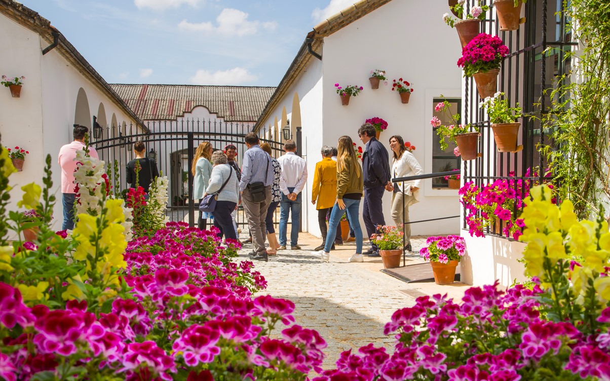 Visita Guiada Almazara y Bodega en Montilla (Córdoba)