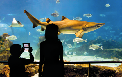 L'Aquàrium de Barcelona
