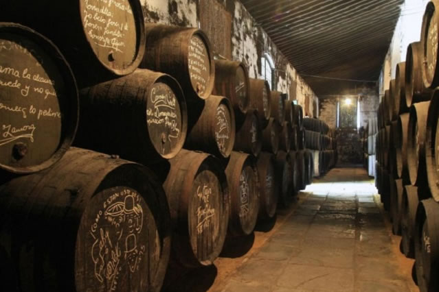 Visita una Bodega de Jerez